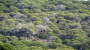 Portugal achieves record-breaking forestry exports, bolstering trade surplus