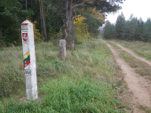 Surge in irregular migration from Latvia to Lithuania prompts cross-border cooperation      