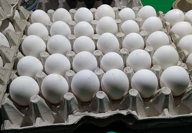 Голландские супермаркеты переходят на более дешевые и экологически чистые белые яйца